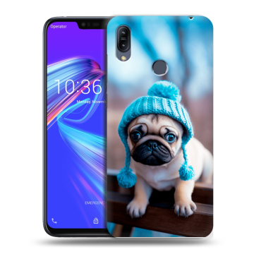 Силиконовый противоударный чехол на ASUS ZenFone Max M2 с принтом Мопс в шапке
