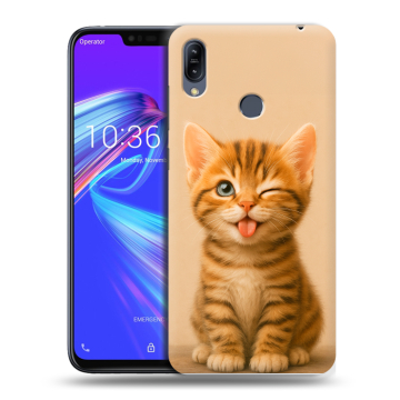 Силиконовый противоударный чехол на ASUS ZenFone Max M2 с принтом котенок