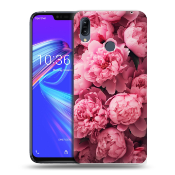 Силиконовый противоударный чехол на ASUS ZenFone Max M2 с принтом цветы пионы