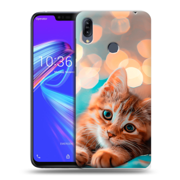 Силиконовый противоударный чехол на ASUS ZenFone Max M2 с принтом котик