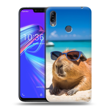 Силиконовый противоударный чехол на ASUS ZenFone Max M2 с принтом Капибара Силиконовый противоударный чехол на ASUS ZenFone Max M2 с принтом Капибара