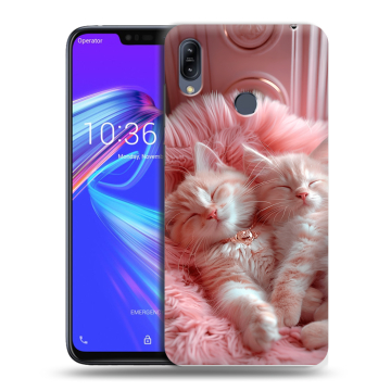 Силиконовый противоударный чехол на ASUS ZenFone Max M2 с принтом котята котики Силиконовый противоударный чехол на ASUS ZenFone Max M2 с принтом котята котики
