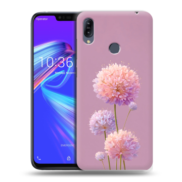 Силиконовый противоударный чехол на ASUS ZenFone Max M2 с принтом Цветы Силиконовый противоударный чехол на ASUS ZenFone Max M2 с принтом Цветы