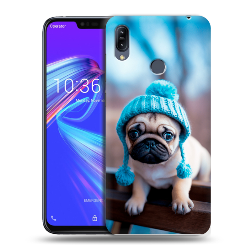 Пластиковый чехол на ASUS ZenFone Max M2 с принтом Мопс в шапке Пластиковый чехол на ASUS ZenFone Max M2 с принтом Мопс в шапке