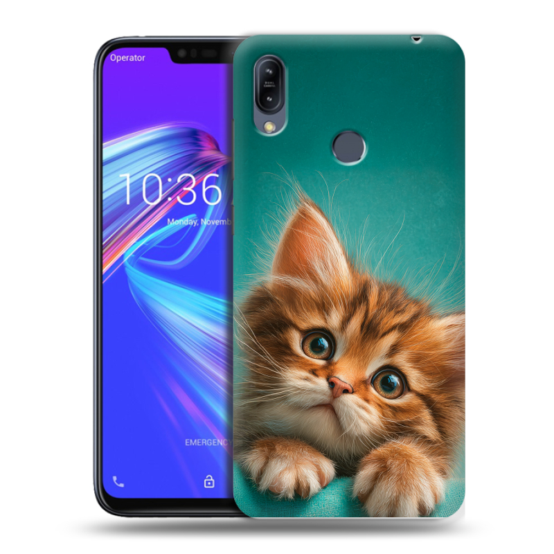 Пластиковый чехол на ASUS ZenFone Max M2 с принтом котенок Пластиковый чехол на ASUS ZenFone Max M2 с принтом котенок