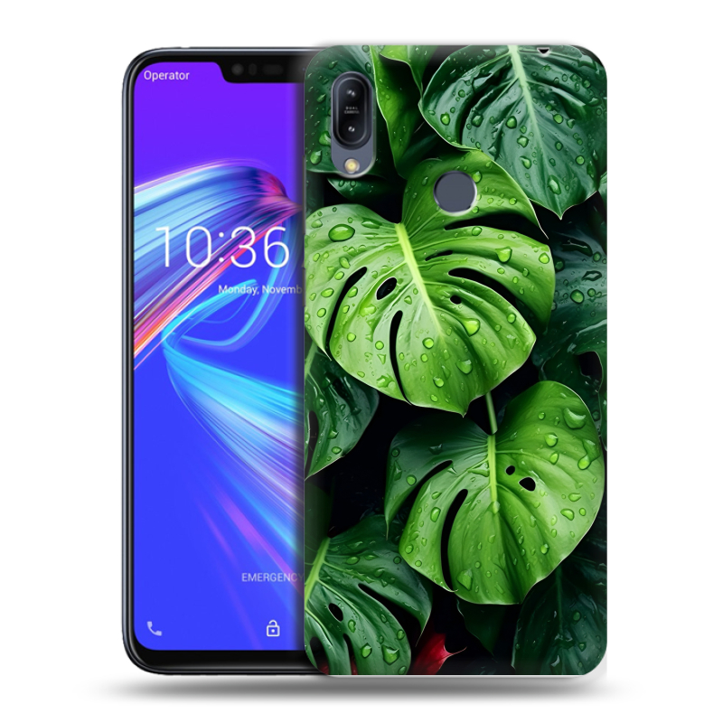 Пластиковый чехол на ASUS ZenFone Max M2 с принтом Листья Пластиковый чехол на ASUS ZenFone Max M2 с принтом Листья