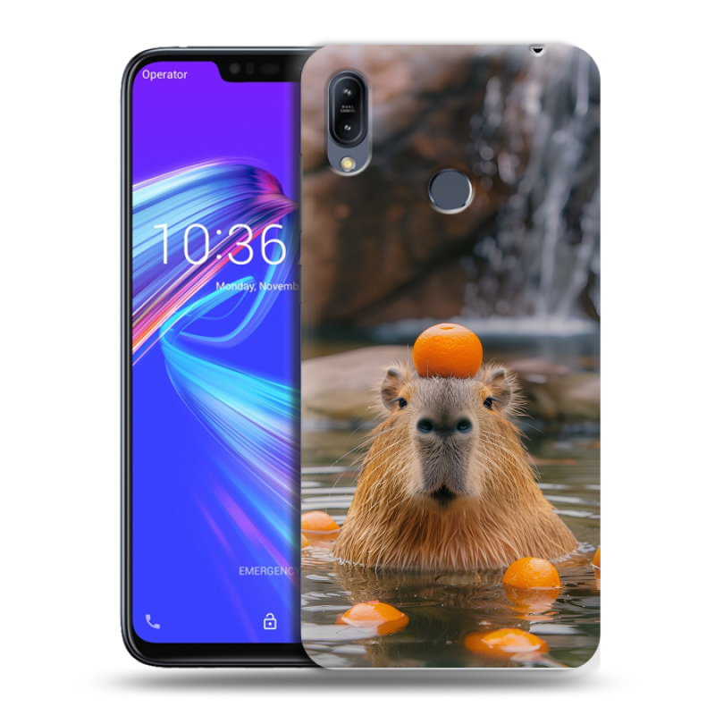 Пластиковый чехол на ASUS ZenFone Max M2 с принтом Капибара с апельсином Пластиковый чехол на ASUS ZenFone Max M2 с принтом Капибара с апельсином