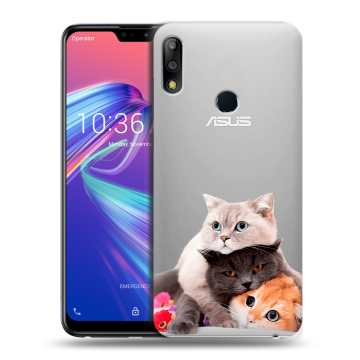 Силиконовый чехол на ASUS ZenFone Max Pro M2 с принтом Кошки Силиконовый чехол на ASUS ZenFone Max Pro M2 с принтом Кошки