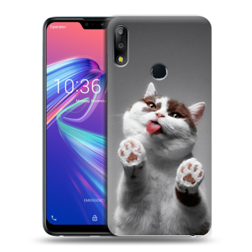 Силиконовый чехол на ASUS ZenFone Max Pro M2 с принтом Коты Силиконовый чехол на ASUS ZenFone Max Pro M2 с принтом Коты