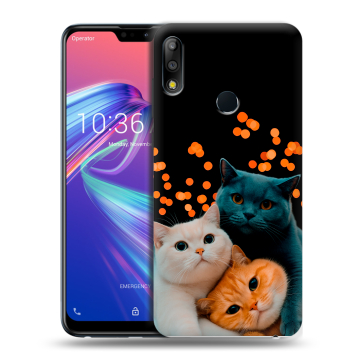 Силиконовый чехол на ASUS ZenFone Max Pro M2 с принтом Кошки Силиконовый чехол на ASUS ZenFone Max Pro M2 с принтом Кошки
