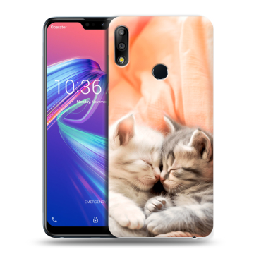 Силиконовый чехол на ASUS ZenFone Max Pro M2 с принтом Котята Силиконовый чехол на ASUS ZenFone Max Pro M2 с принтом Котята