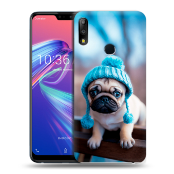 Силиконовый чехол на ASUS ZenFone Max Pro M2 с принтом Мопс в шапке
