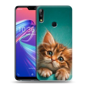 Силиконовый чехол на ASUS ZenFone Max Pro M2 с принтом котенок