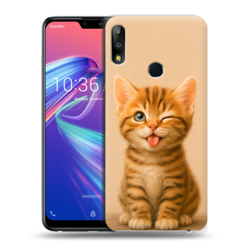 Силиконовый чехол на ASUS ZenFone Max Pro M2 с принтом котенок