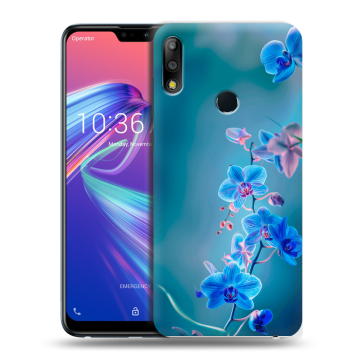 Силиконовый чехол на ASUS ZenFone Max Pro M2 с принтом Голубые цветы