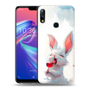 Силиконовый чехол на ASUS ZenFone Max Pro M2 с принтом кролик зайчик