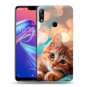 Силиконовый чехол на ASUS ZenFone Max Pro M2 с принтом котик Силиконовый чехол на ASUS ZenFone Max Pro M2 с принтом котик