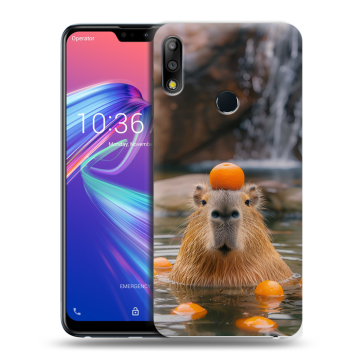 Силиконовый чехол на ASUS ZenFone Max Pro M2 с принтом Капибара с апельсином Силиконовый чехол на ASUS ZenFone Max Pro M2 с принтом Капибара с апельсином