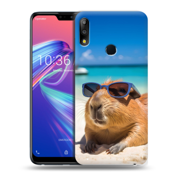 Силиконовый чехол на ASUS ZenFone Max Pro M2 с принтом Капибара Силиконовый чехол на ASUS ZenFone Max Pro M2 с принтом Капибара
