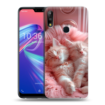 Силиконовый чехол на ASUS ZenFone Max Pro M2 с принтом котята котики Силиконовый чехол на ASUS ZenFone Max Pro M2 с принтом котята котики