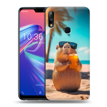 Силиконовый чехол на ASUS ZenFone Max Pro M2 с принтом Капибара