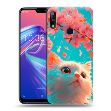 Силиконовый чехол на ASUS ZenFone Max Pro M2 с принтом Красивый кот Силиконовый чехол на ASUS ZenFone Max Pro M2 с принтом Красивый кот