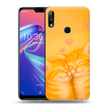 Силиконовый чехол на ASUS ZenFone Max Pro M2 с принтом Милые котята