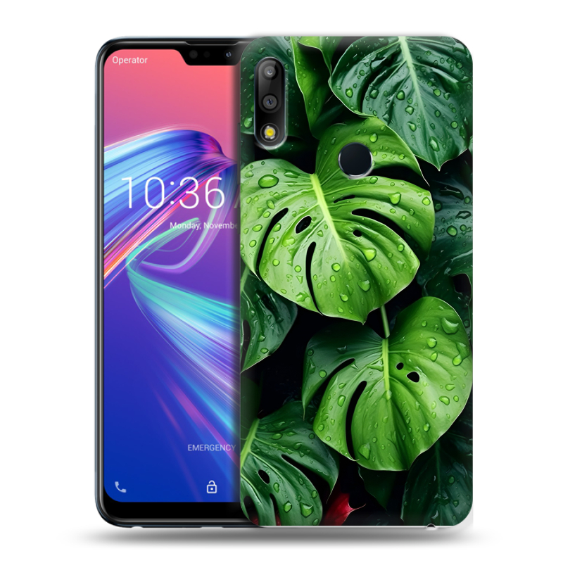 Силиконовый чехол на ASUS ZenFone Max Pro M2 с принтом Листья Силиконовый чехол на ASUS ZenFone Max Pro M2 с принтом Листья