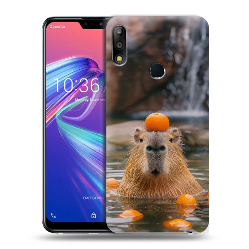 Пластиковый чехол на ASUS ZenFone Max Pro M2 с принтом Капибара с апельсином Пластиковый чехол на ASUS ZenFone Max Pro M2 с принтом Капибара с апельсином