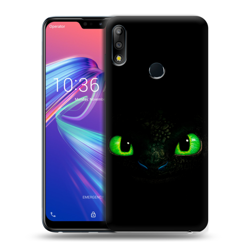 Пластиковый чехол на ASUS ZenFone Max Pro M2 с принтом Как приручить дракона Пластиковый чехол на ASUS ZenFone Max Pro M2 с принтом Как приручить дракона