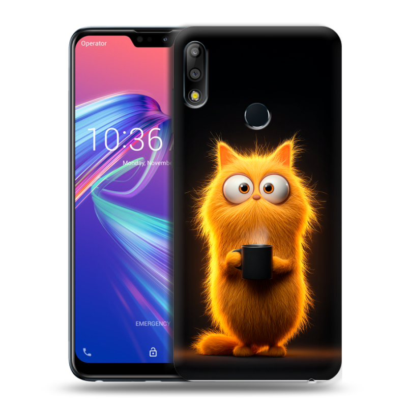Пластиковый чехол на ASUS ZenFone Max Pro M2 с принтом Смешной кот Пластиковый чехол на ASUS ZenFone Max Pro M2 с принтом Смешной кот
