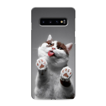 Силиконовый противоударный чехол на Samsung Galaxy S10 с принтом Коты