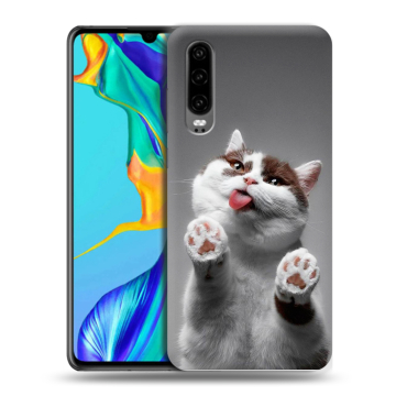 Силиконовый чехол на Huawei P30 с принтом Коты Силиконовый чехол на Huawei P30 с принтом Коты