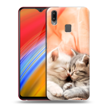 Пластиковый чехол на Vivo Y91i с принтом Котята