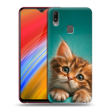 Пластиковый чехол на Vivo Y91i с принтом котенок Пластиковый чехол на Vivo Y91i с принтом котенок