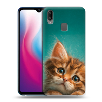 Пластиковый чехол на Vivo Y93 с принтом котенок