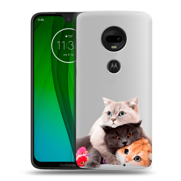 Пластиковый чехол на Motorola Moto G7 с принтом Кошки