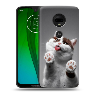 Пластиковый чехол на Motorola Moto G7 с принтом Коты