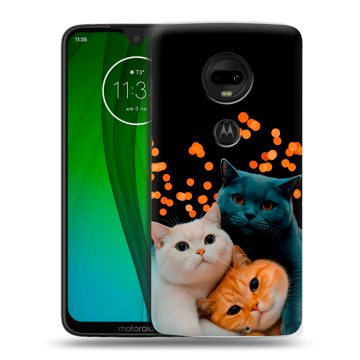 Пластиковый чехол на Motorola Moto G7 с принтом Кошки
