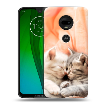 Пластиковый чехол на Motorola Moto G7 с принтом Котята