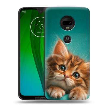 Пластиковый чехол на Motorola Moto G7 с принтом котенок