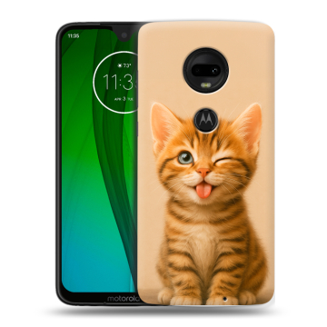 Пластиковый чехол на Motorola Moto G7 с принтом котенок