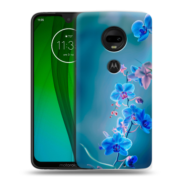 Пластиковый чехол на Motorola Moto G7 с принтом Голубые цветы