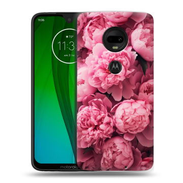 Пластиковый чехол на Motorola Moto G7 с принтом цветы пионы