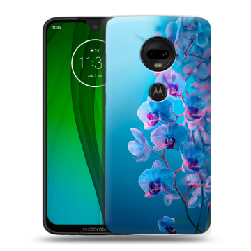 Пластиковый чехол на Motorola Moto G7 с принтом голубые орхидеи