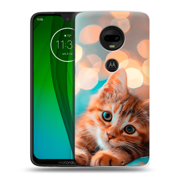 Пластиковый чехол на Motorola Moto G7 с принтом котик