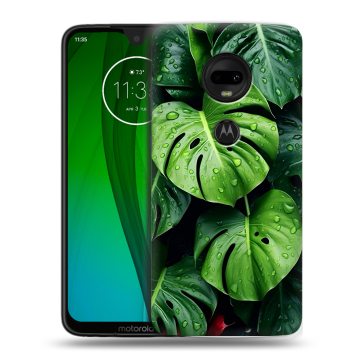 Пластиковый чехол на Motorola Moto G7 с принтом Листья