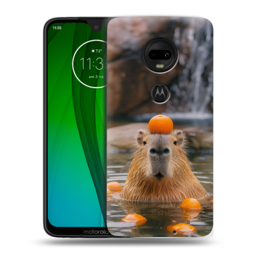 Пластиковый чехол на Motorola Moto G7 с принтом Капибара с апельсином