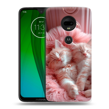 Пластиковый чехол на Motorola Moto G7 с принтом котята котики