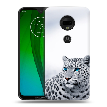 Пластиковый чехол на Motorola Moto G7 с принтом женский